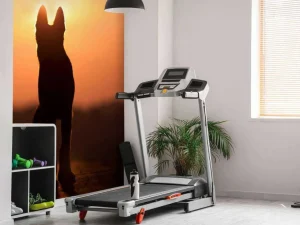 Best Hond bij zonsondergang fotobehang Dieren