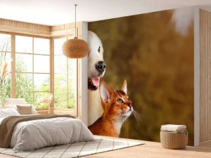 Sale Hond en kat kijken naar boven fotobehang Dieren