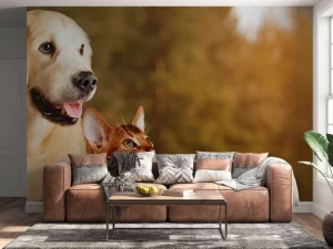 Sale Hond en kat kijken naar boven fotobehang Dieren