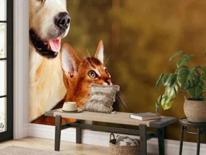 Sale Hond en kat kijken naar boven fotobehang Dieren