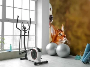 Sale Hond en kat kijken naar boven fotobehang Dieren