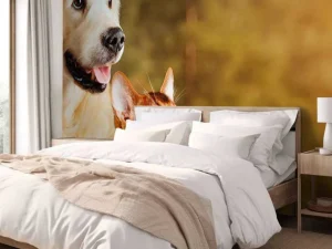 Sale Hond en kat kijken naar boven fotobehang Dieren