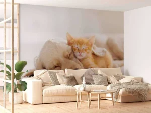 Online Hond en kat slapen knuffelend fotobehang Dieren