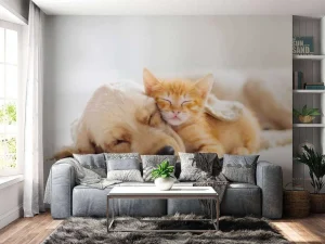 Online Hond en kat slapen knuffelend fotobehang Dieren