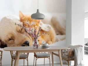 Online Hond en kat slapen knuffelend fotobehang Dieren