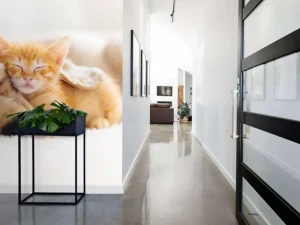 Online Hond en kat slapen knuffelend fotobehang Dieren