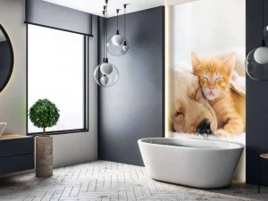 Online Hond en kat slapen knuffelend fotobehang Dieren