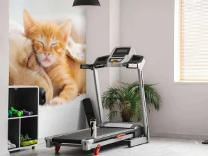 Online Hond en kat slapen knuffelend fotobehang Dieren
