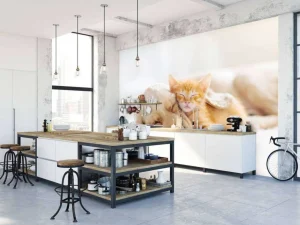 Online Hond en kat slapen knuffelend fotobehang Dieren