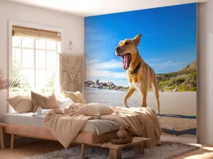 Best Hond in de zomer op het strand fotobehang Dieren