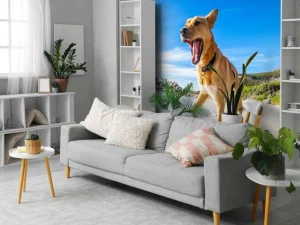 Best Hond in de zomer op het strand fotobehang Dieren