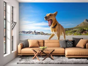 Best Hond in de zomer op het strand fotobehang Dieren