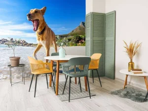 Best Hond in de zomer op het strand fotobehang Dieren
