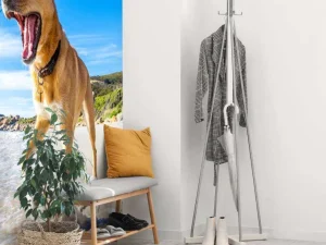 Best Hond in de zomer op het strand fotobehang Dieren