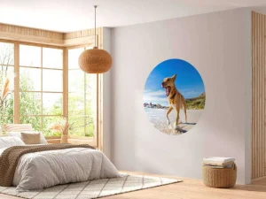 Best Hond in de zomer op het strand fotobehang Dieren
