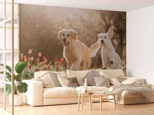 Outlet Honden in een parkje fotobehang Dieren