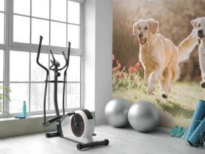 Outlet Honden in een parkje fotobehang Dieren