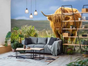 Clearance Hooglander in de weide fotobehang Dieren