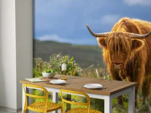 Clearance Hooglander in de weide fotobehang Dieren