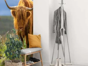 Clearance Hooglander in de weide fotobehang Dieren
