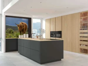 Clearance Hooglander in de weide fotobehang Dieren