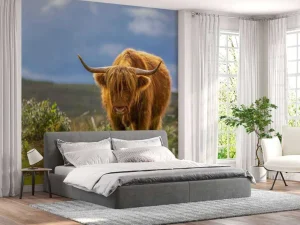 Clearance Hooglander in de weide fotobehang Dieren