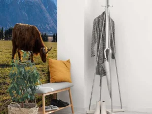 Best Hooglander met ingesneeuwde bergen fotobehang Dieren