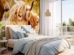 New Hooglanders in de Weide fotobehang Dieren
