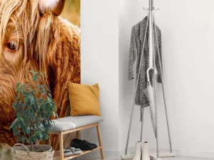 New Hooglanders in de Weide fotobehang Dieren