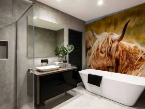 New Hooglanders in de Weide fotobehang Dieren