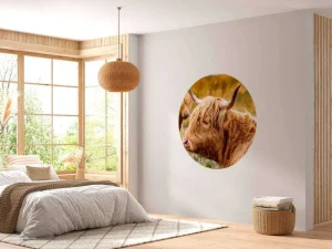 New Hooglanders in de Weide fotobehang Dieren