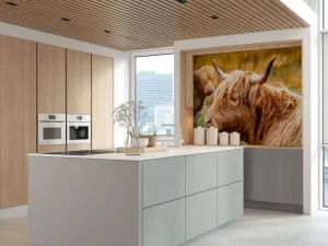 New Hooglanders in de Weide fotobehang Dieren