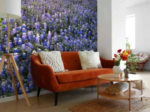 Fashion Hortensia veld in Texas fotobehang Bloemen