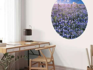 Fashion Hortensia veld in Texas fotobehang Bloemen