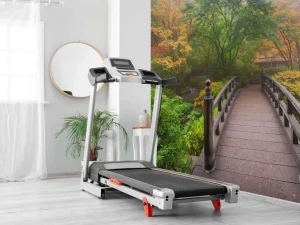 Clearance Houten brug in een Japanse tuin fotobehang Bloemen | 3d
