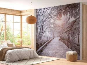 Outlet Huangshan National Park in de winter fotobehang Bloemen | Architectuur