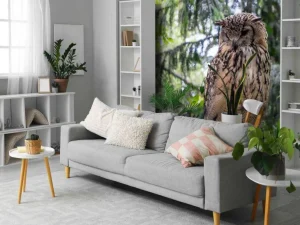 Clearance Indiase oehoe in het wild fotobehang Dieren