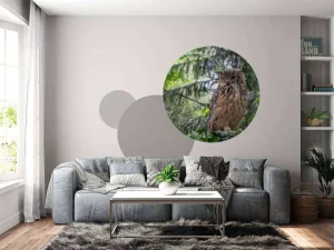 Clearance Indiase oehoe in het wild fotobehang Dieren