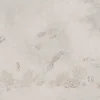 New Inktvissen zee taupe Kinderkamer | Dieren