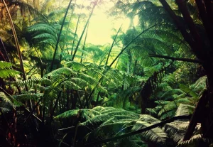 Sale Jungle in Hawaii fotobehang Bloemen