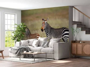 Discount Kaapse bergzebra met een veulentje fotobehang Dieren
