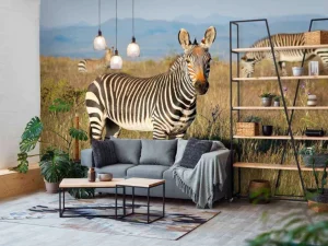 Outlet Kaapse bergzebra's fotobehang Dieren