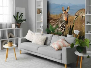 Outlet Kaapse bergzebra's fotobehang Dieren
