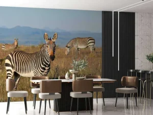 Outlet Kaapse bergzebra's fotobehang Dieren