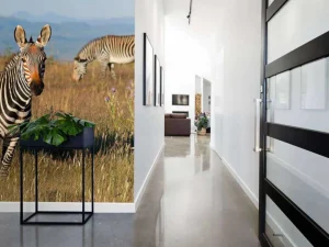 Outlet Kaapse bergzebra's fotobehang Dieren
