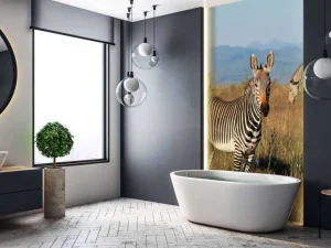 Outlet Kaapse bergzebra's fotobehang Dieren
