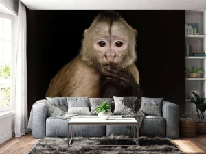 Outlet Kapucijnaap met een zwarte achtergrond fotobehang Dieren