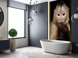 Outlet Kapucijnaap met een zwarte achtergrond fotobehang Dieren