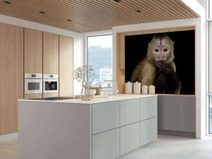 Outlet Kapucijnaap met een zwarte achtergrond fotobehang Dieren