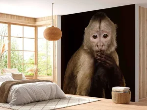 Outlet Kapucijnaap met een zwarte achtergrond fotobehang Dieren